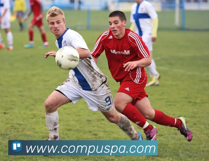 App Interface Preview